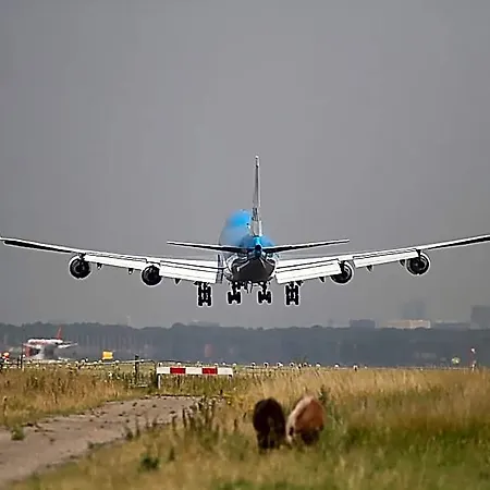 Bastion Schiphol 3*